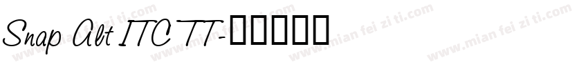 Snap Alt ITC TT字体转换